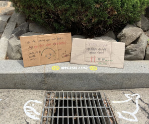 바다의 시작