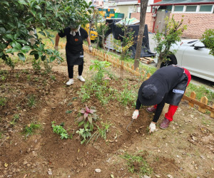 광산여성아카데미 마을정원사 정원관리 활동