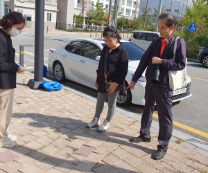 선배시민 활동